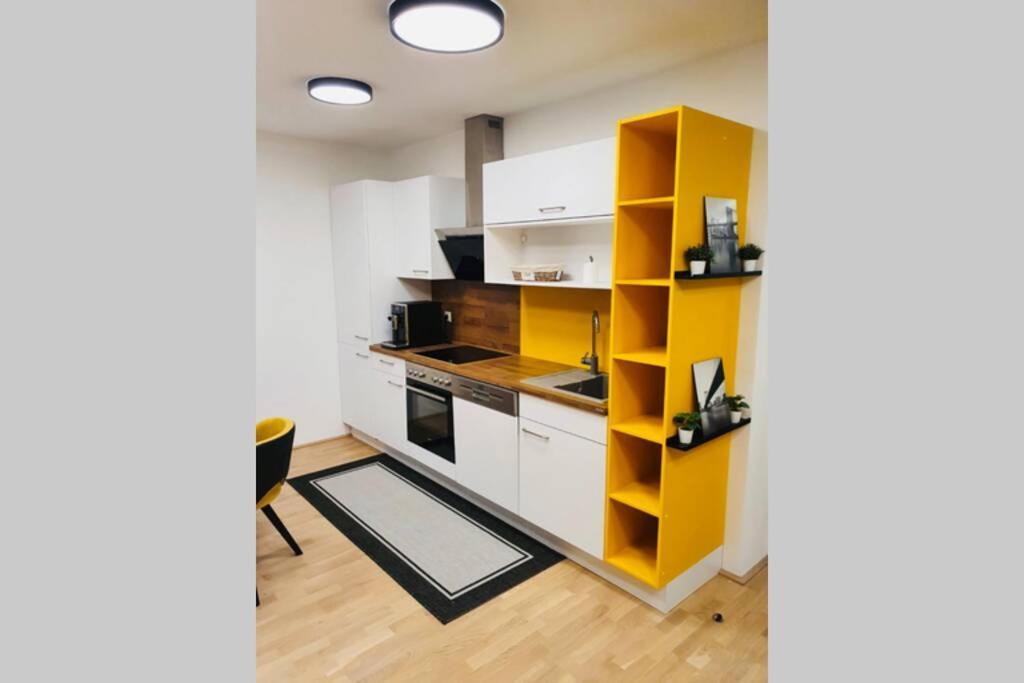 Leon Apartment Neu! Gemuetlichkeit An Erster Stelle 린츠 외부 사진